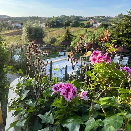 Πάρκο διακοπών Quinta Laranja - - 4*