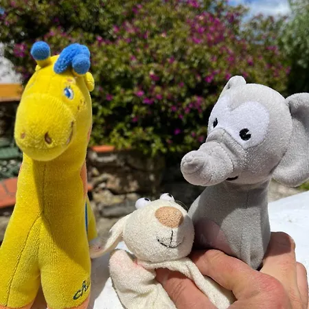 Tatil parkı Quinta Laranja - - Alvorninha