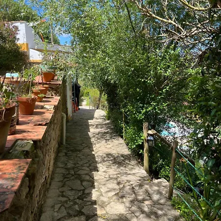 Quinta Laranja - - Tatil parkı Alvorninha