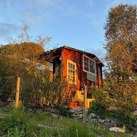 Quinta Laranja - - Tatil parkı Alvorninha