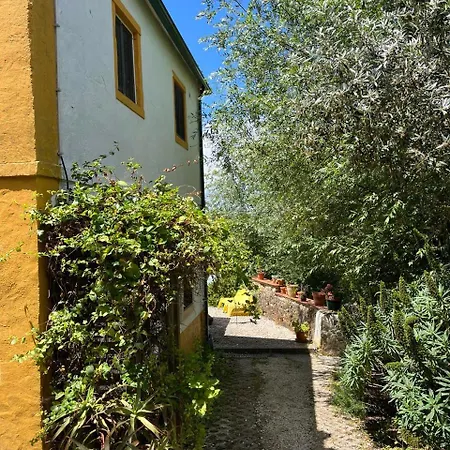 Tatil parkı Quinta Laranja - -
