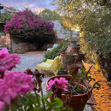 Tatil parkı Quinta Laranja - -