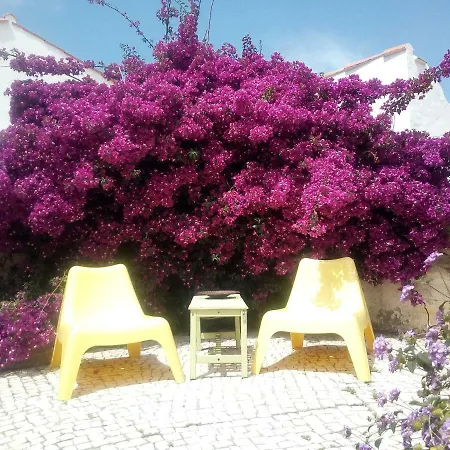 Tatil parkı Quinta Laranja - - Alvorninha