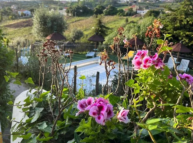 Üdülőpark Quinta Laranja - - 4*