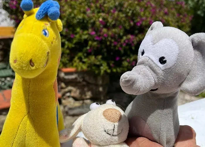 Üdülőpark Quinta Laranja - - Alvorninha